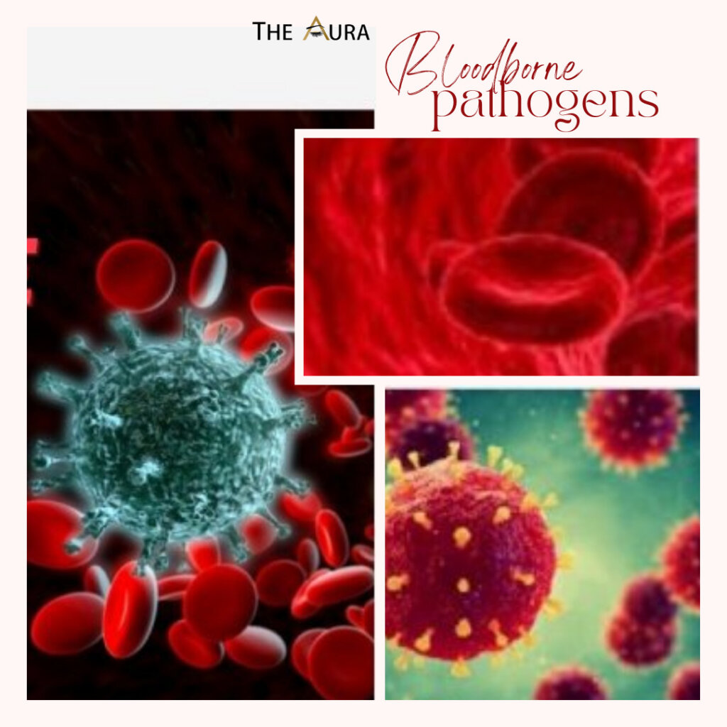 ONLINE BLOODBORNE PATHOGENS TRAINING IN ORANGE COUNTY, Los Angeles County - San Diego