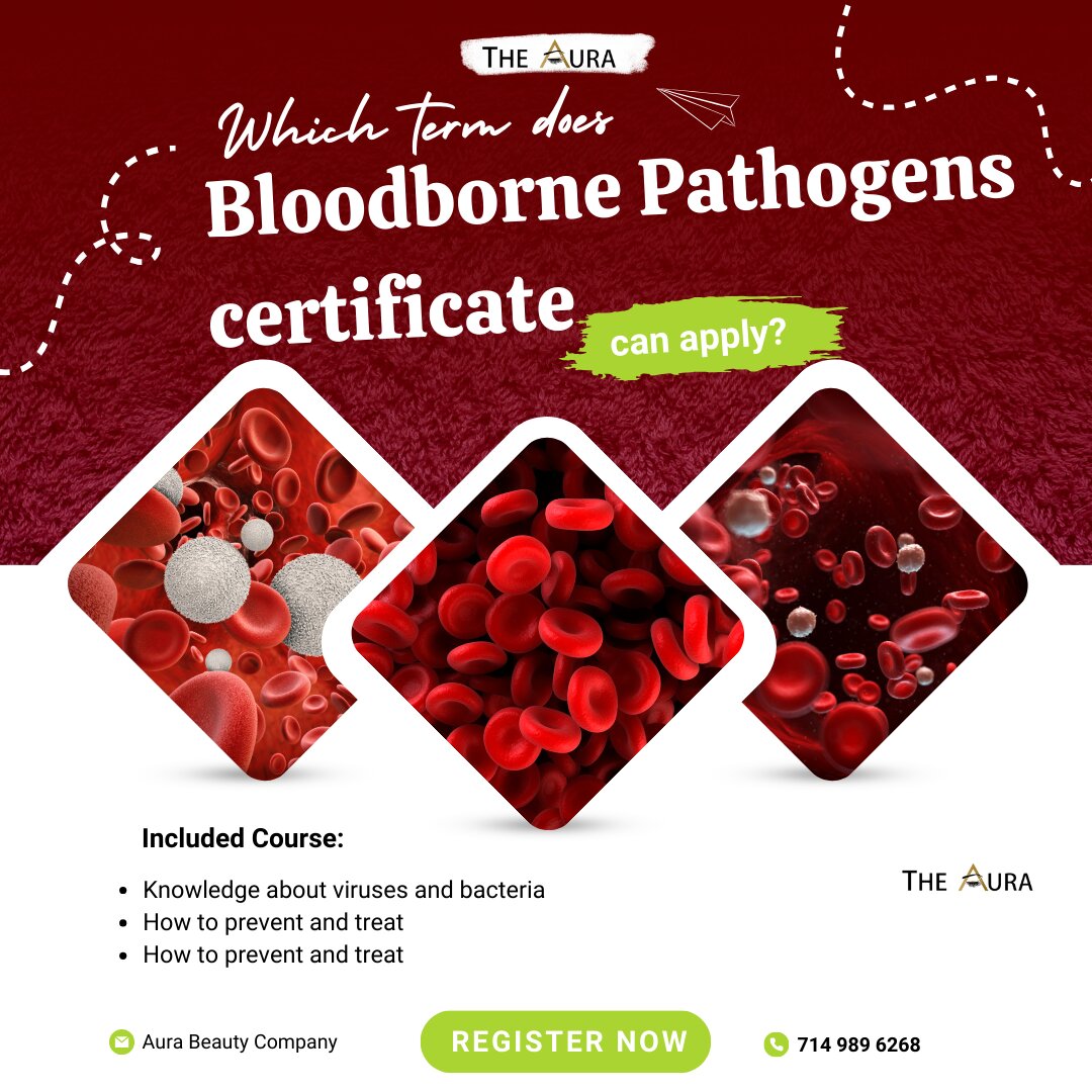 Which term does Bloodborne Pathogens certificate can apply?